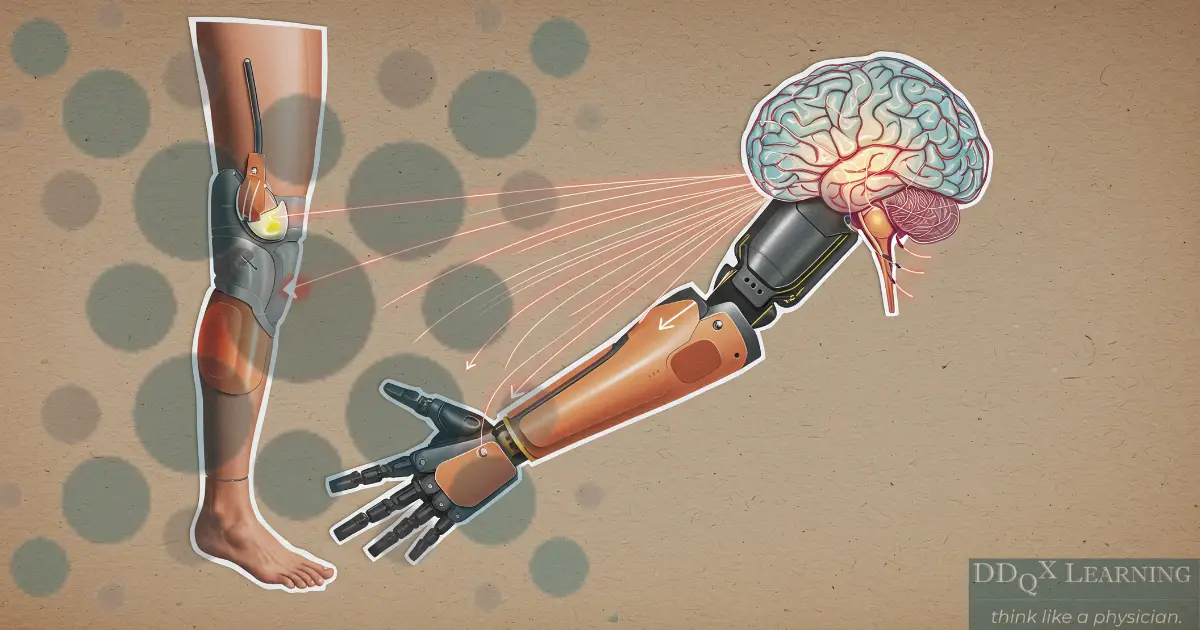 Opinion: EdTech Advancements: Impressive Accessibility, But Where’s the Affordability?